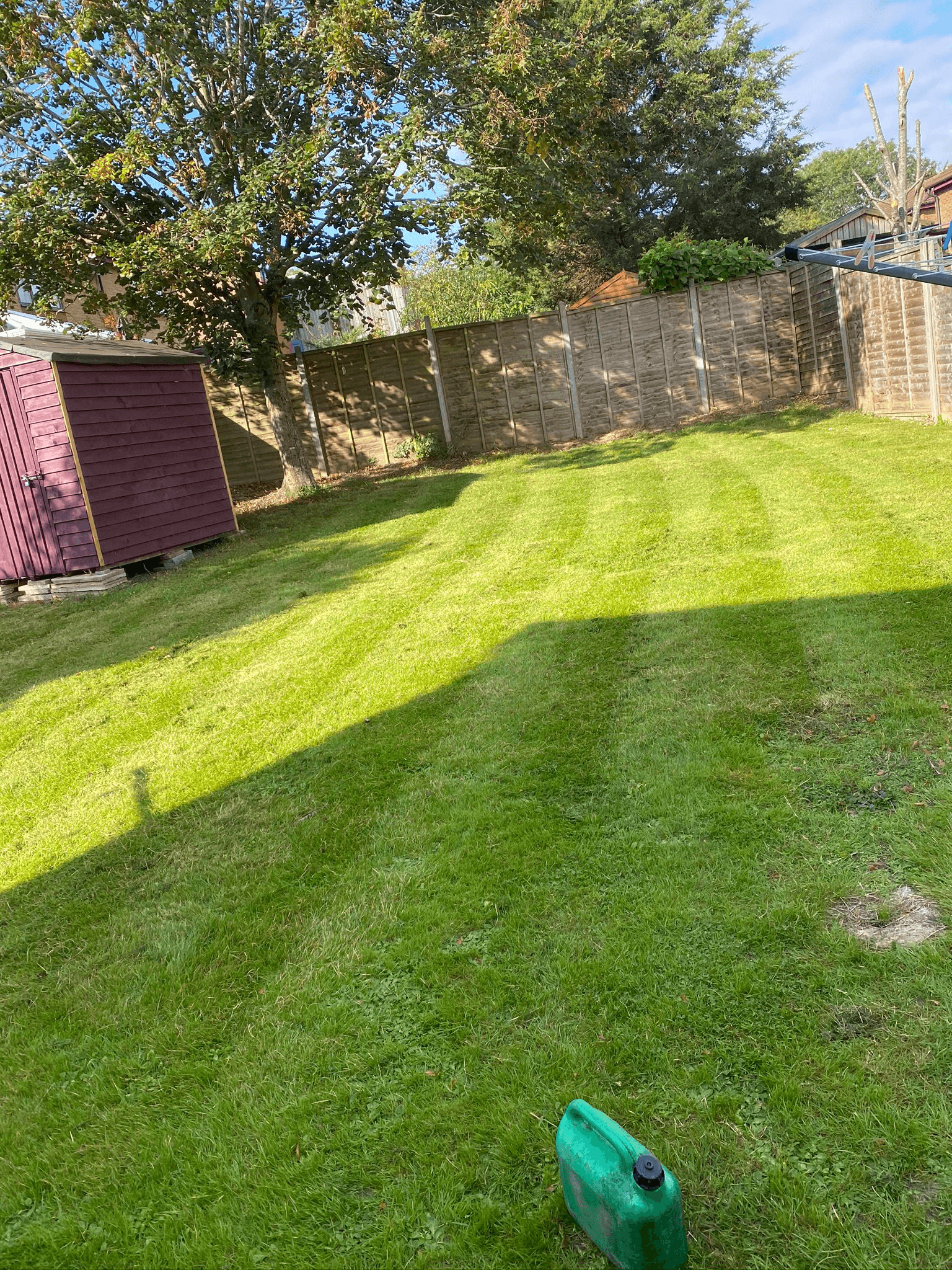 Commercial grass cutting services in South East Surrey
