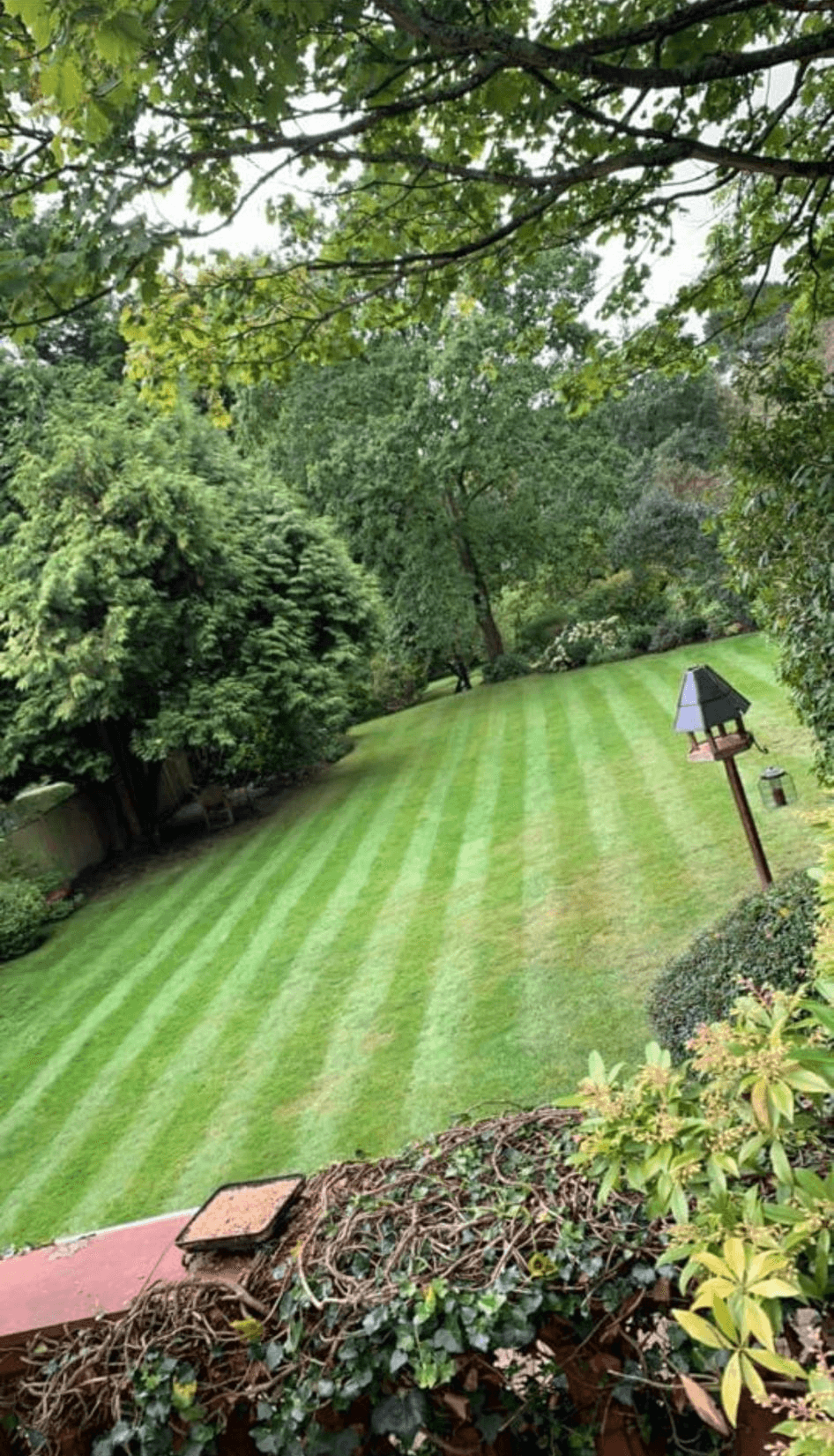 Grass Cutting