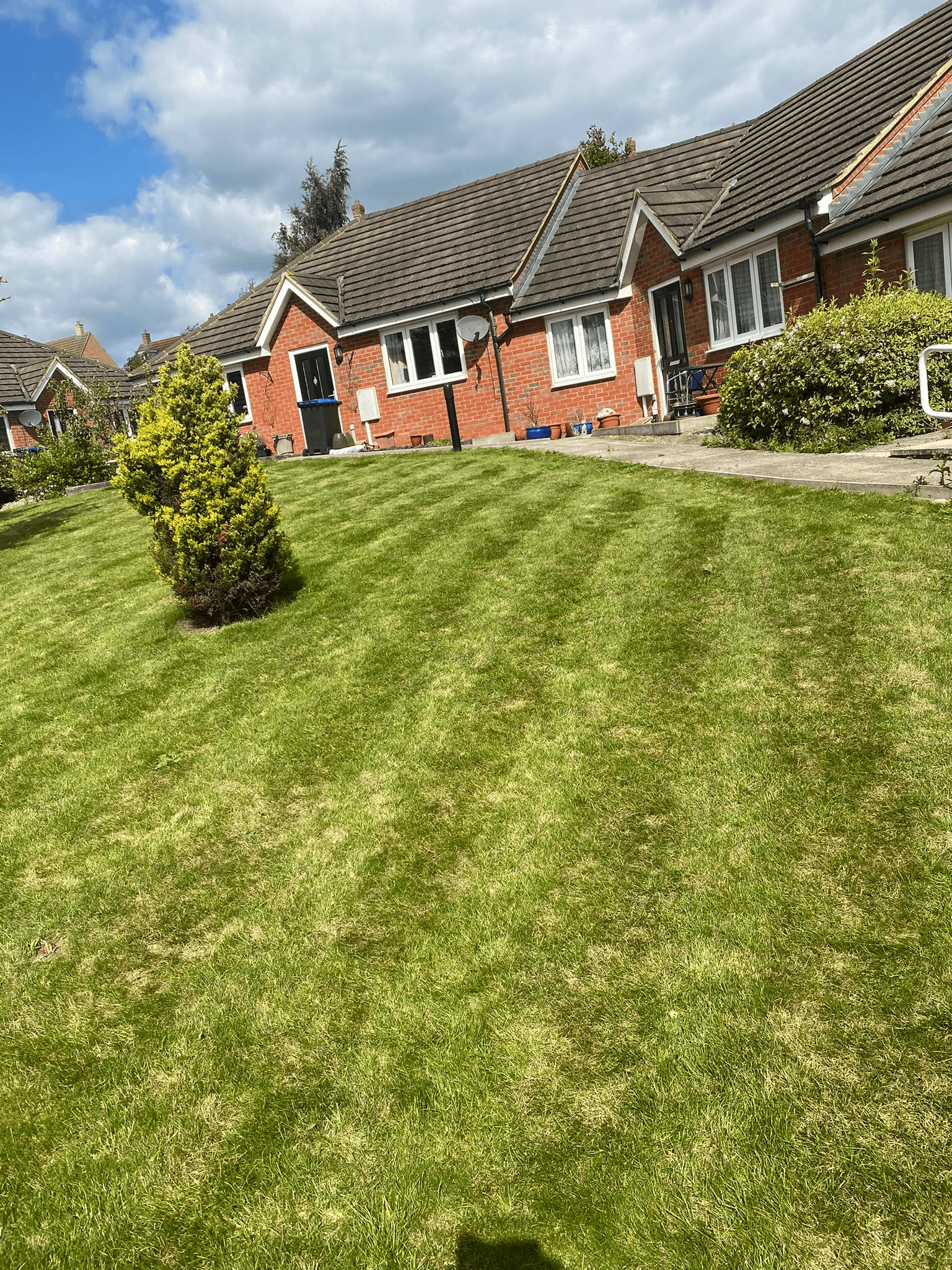 Grounds Management work in South East Surrey