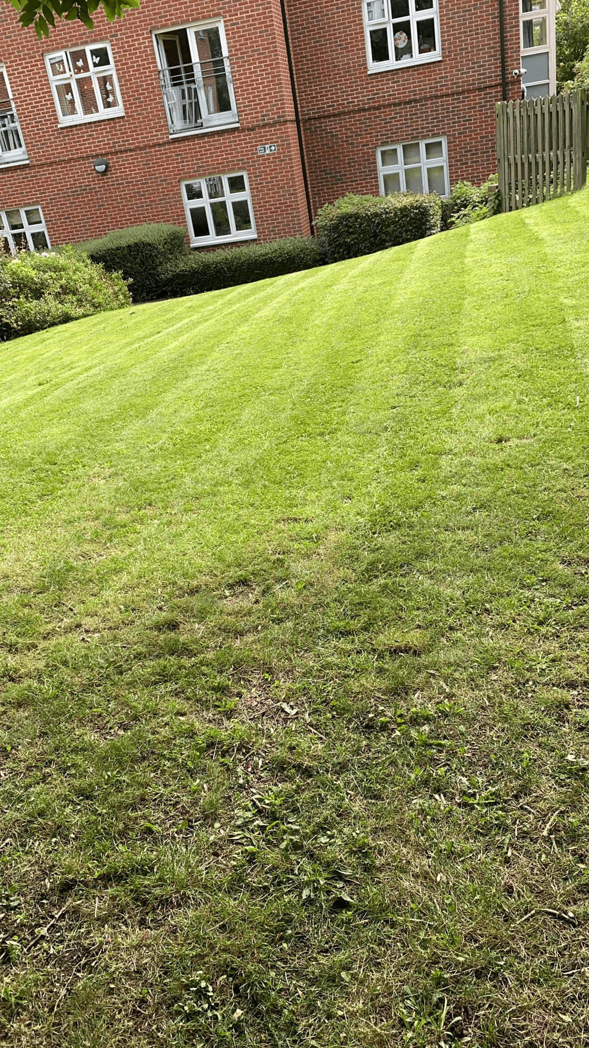 General Grounds Management