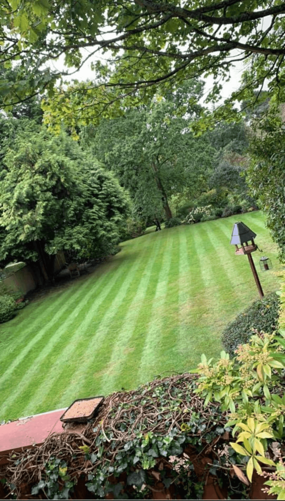 Grounds Management work in South East Surrey