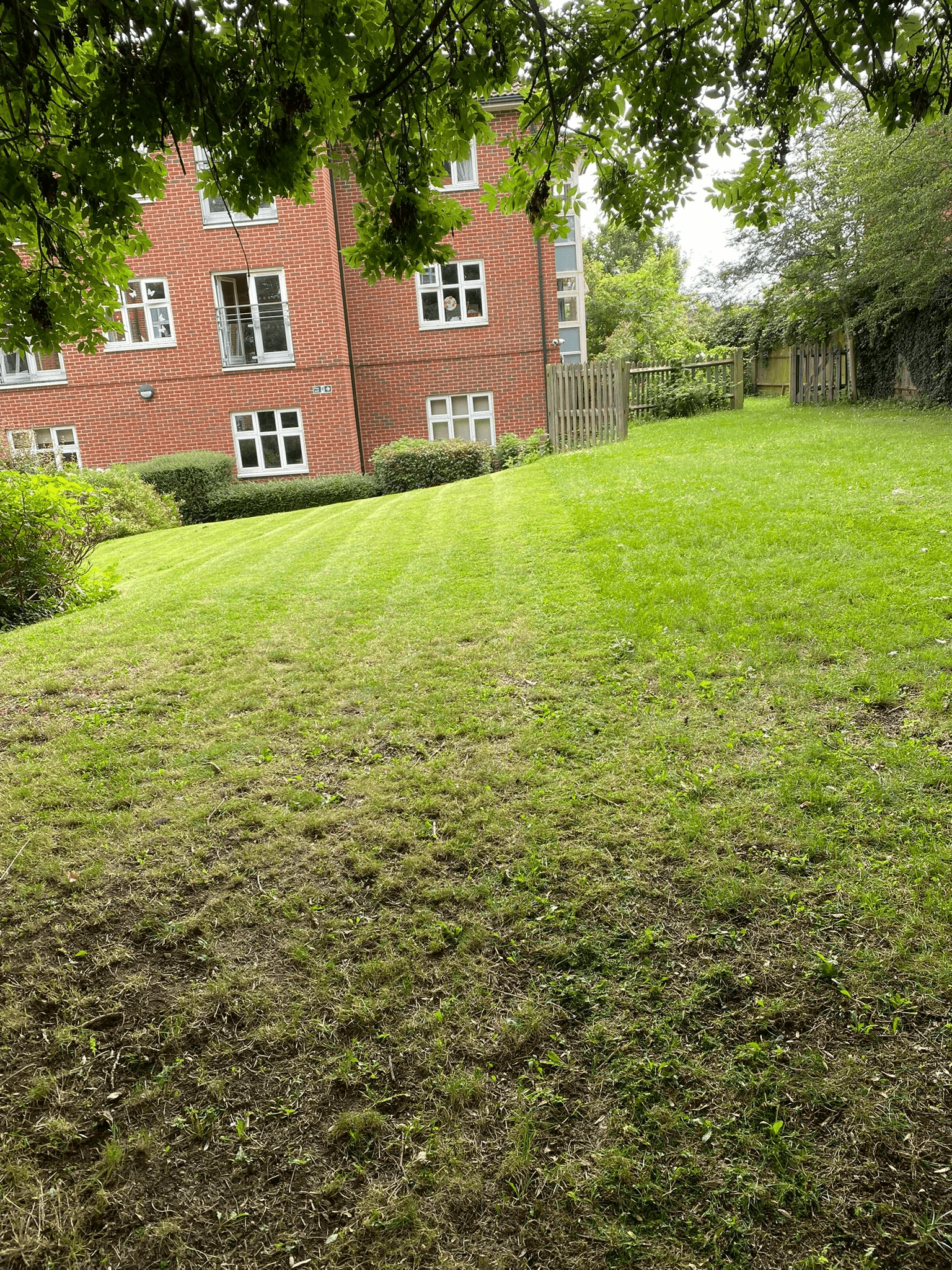 Garden maintenance and landscaping work