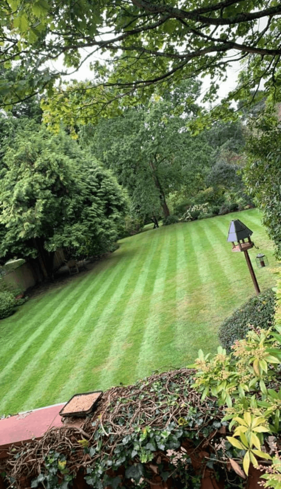 Garden maintenance and landscaping work