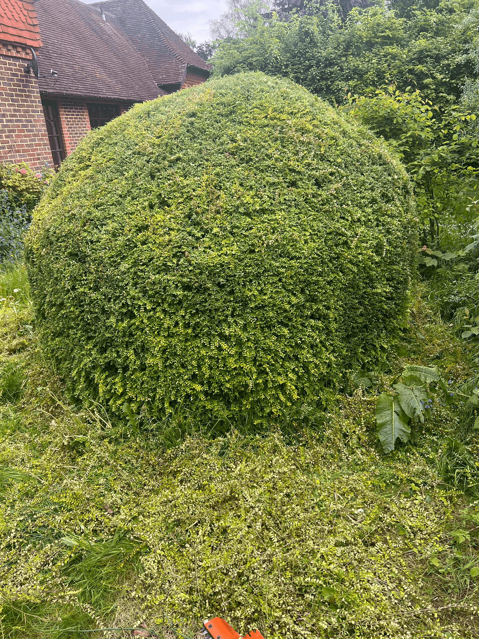 Garden maintenance and landscaping work