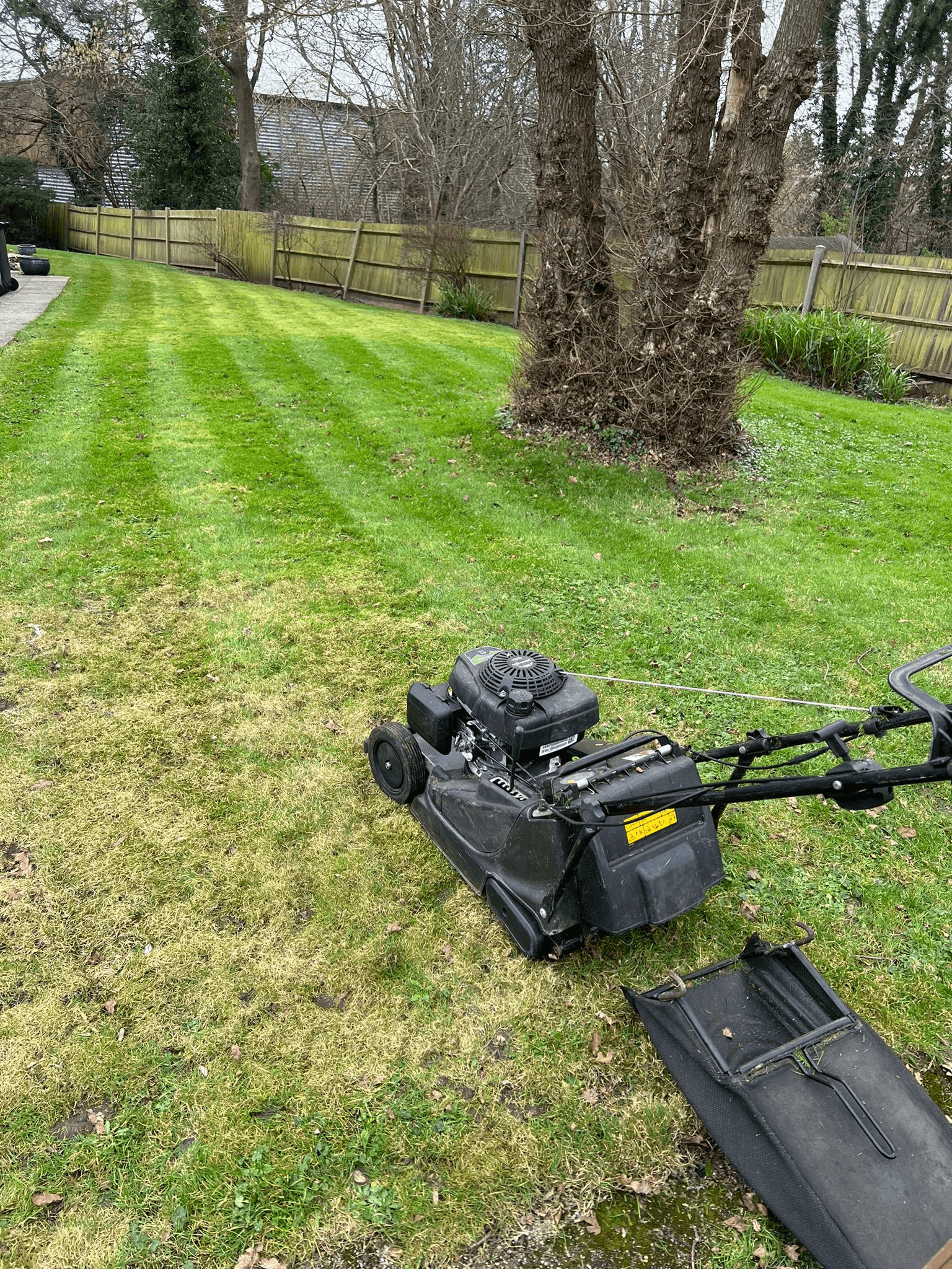 Garden maintenance and landscaping work