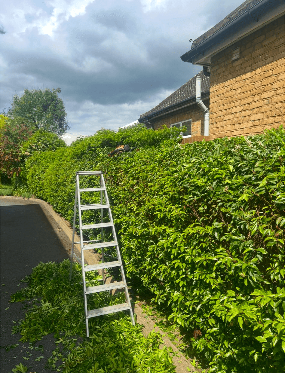 Garden maintenance and landscaping work