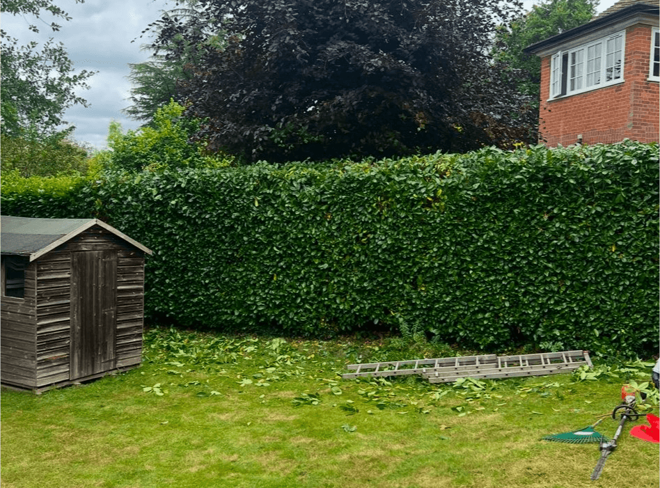 Garden maintenance and landscaping work