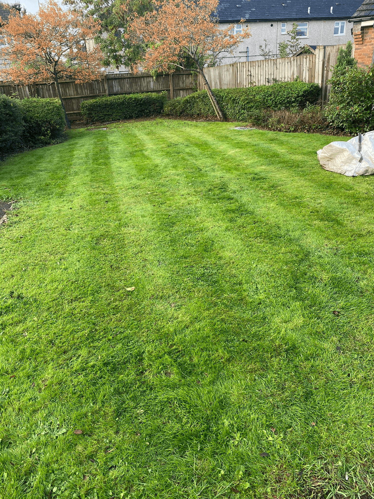 Garden maintenance and landscaping work