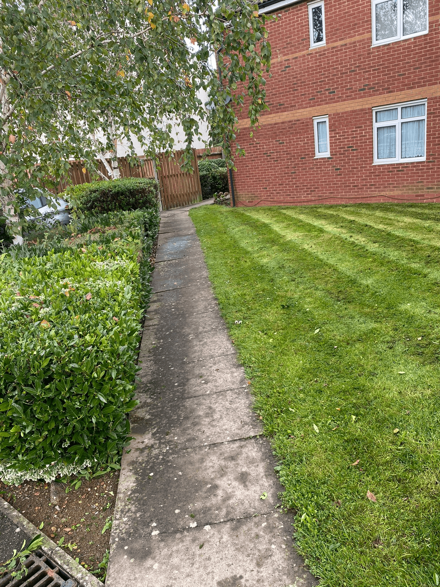Garden maintenance and landscaping work