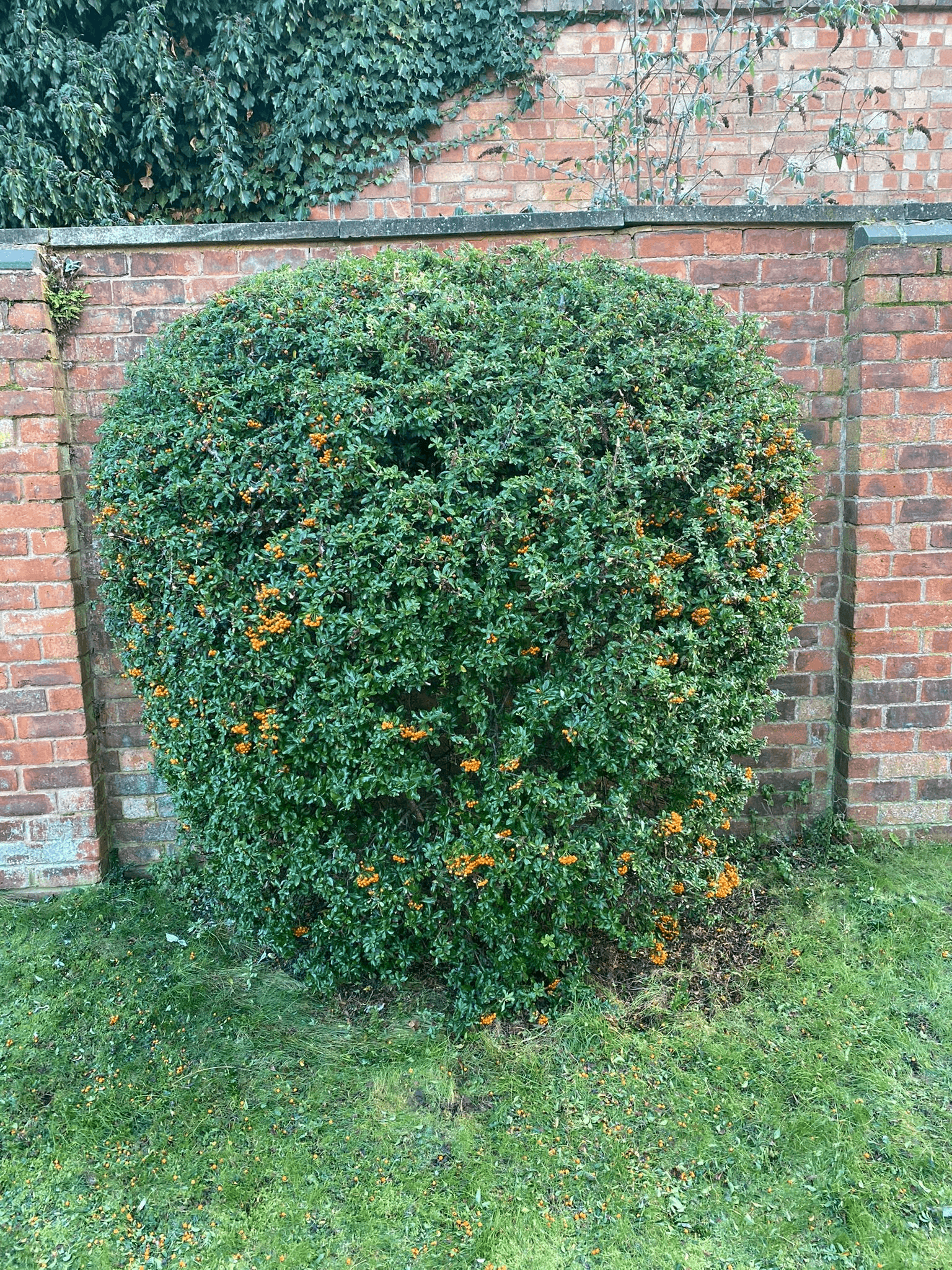Garden maintenance and landscaping work