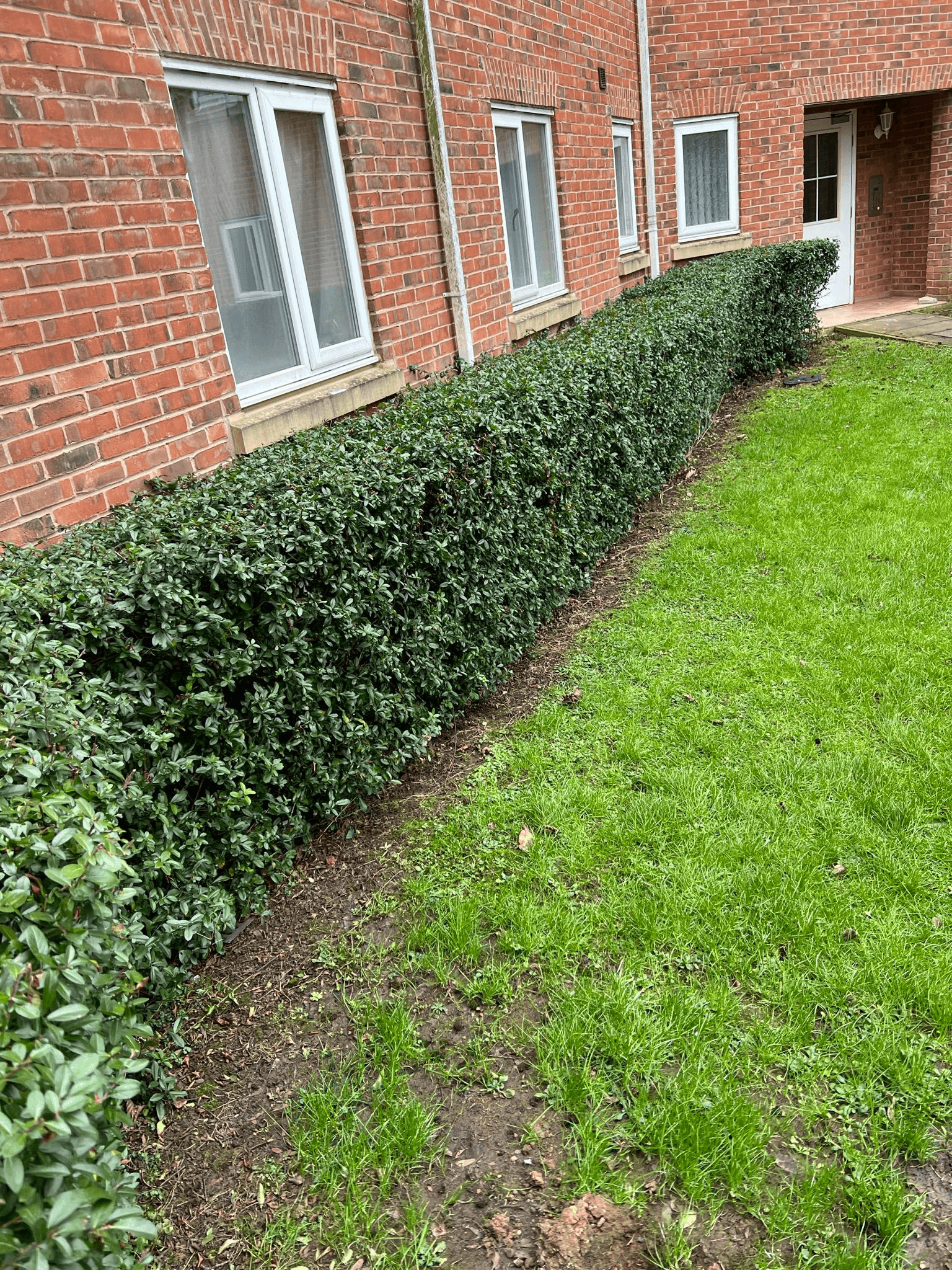 Garden maintenance and landscaping work