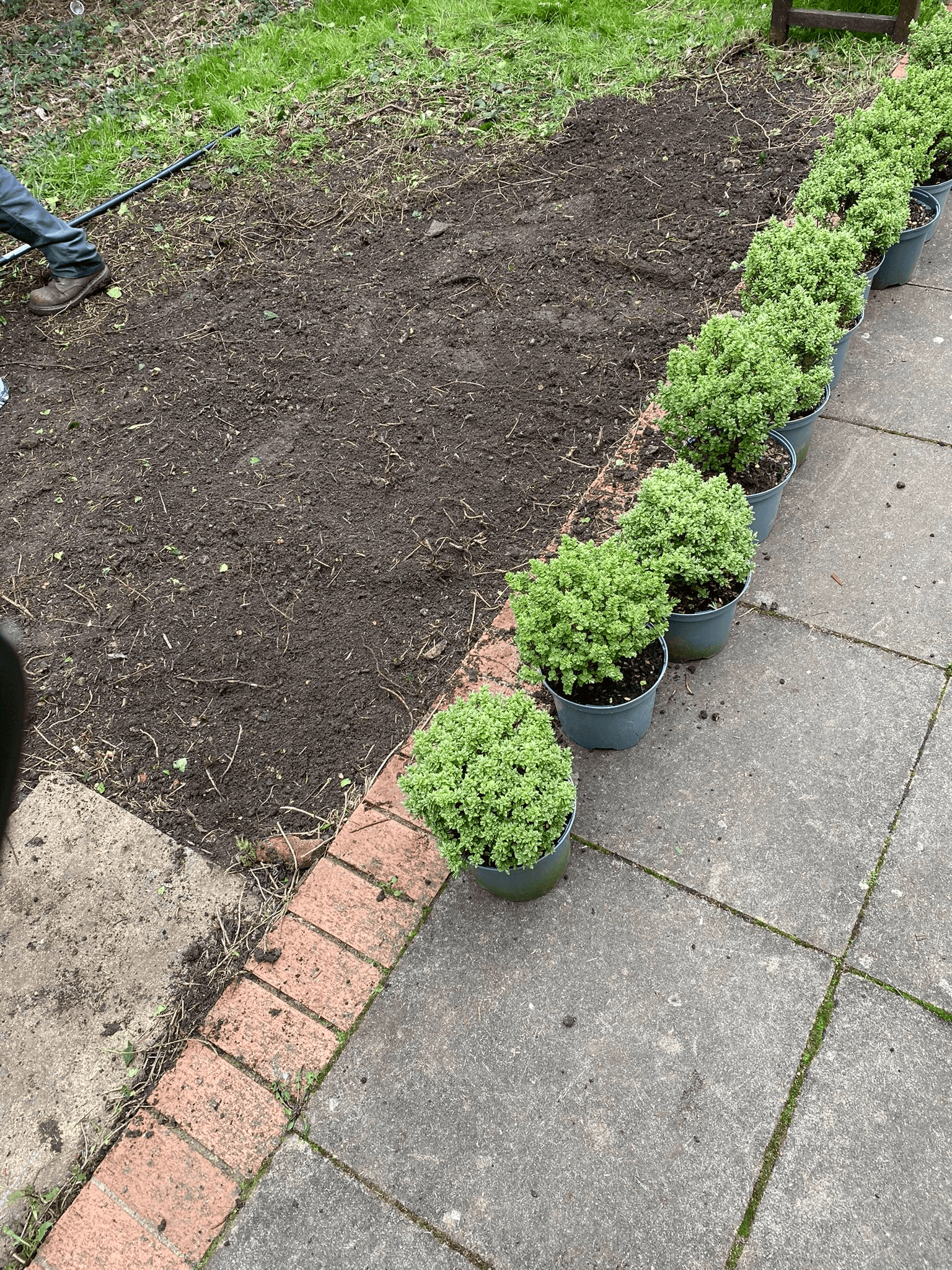 Planting Services