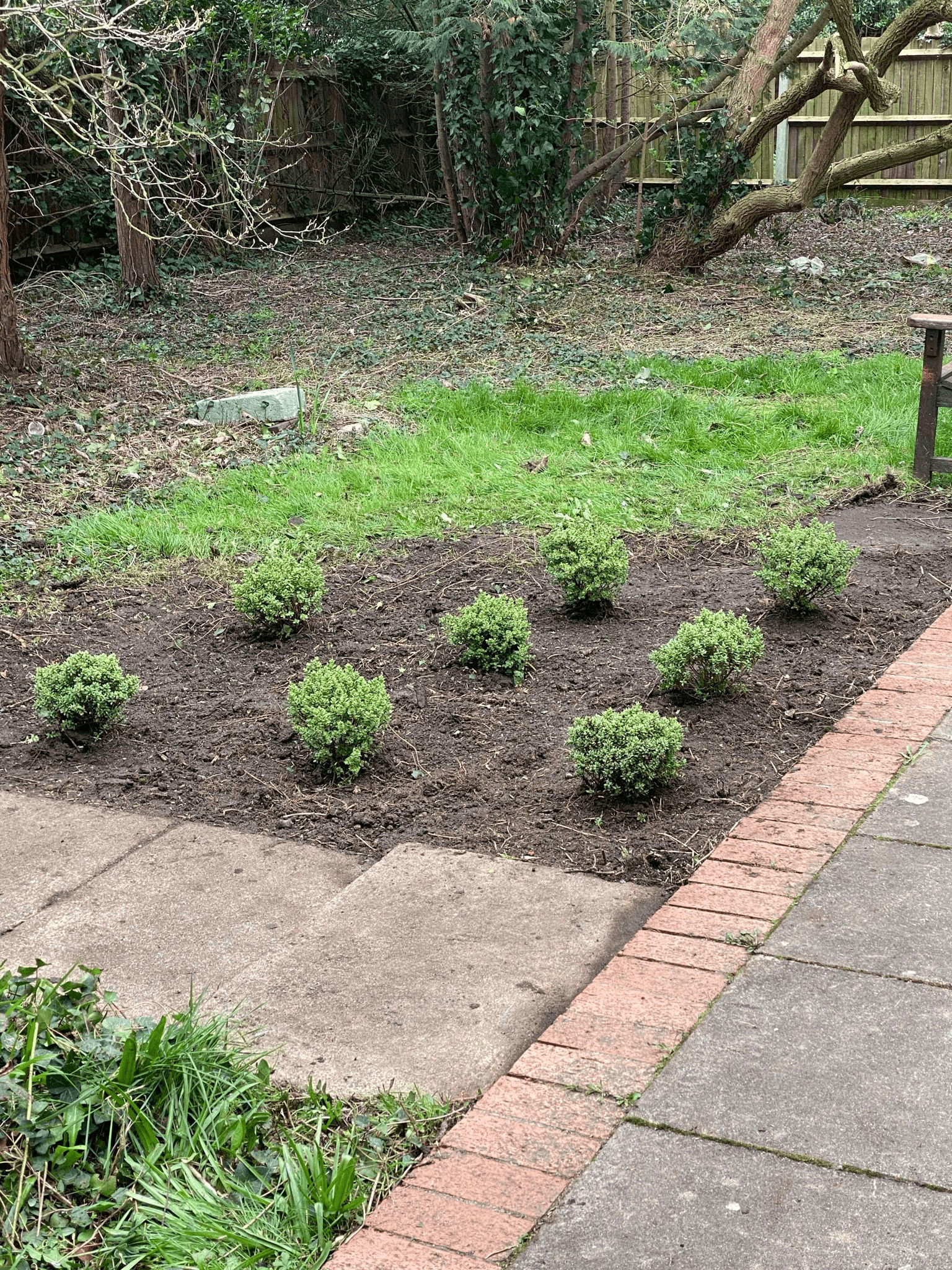 Commercial planting services in South East Surrey