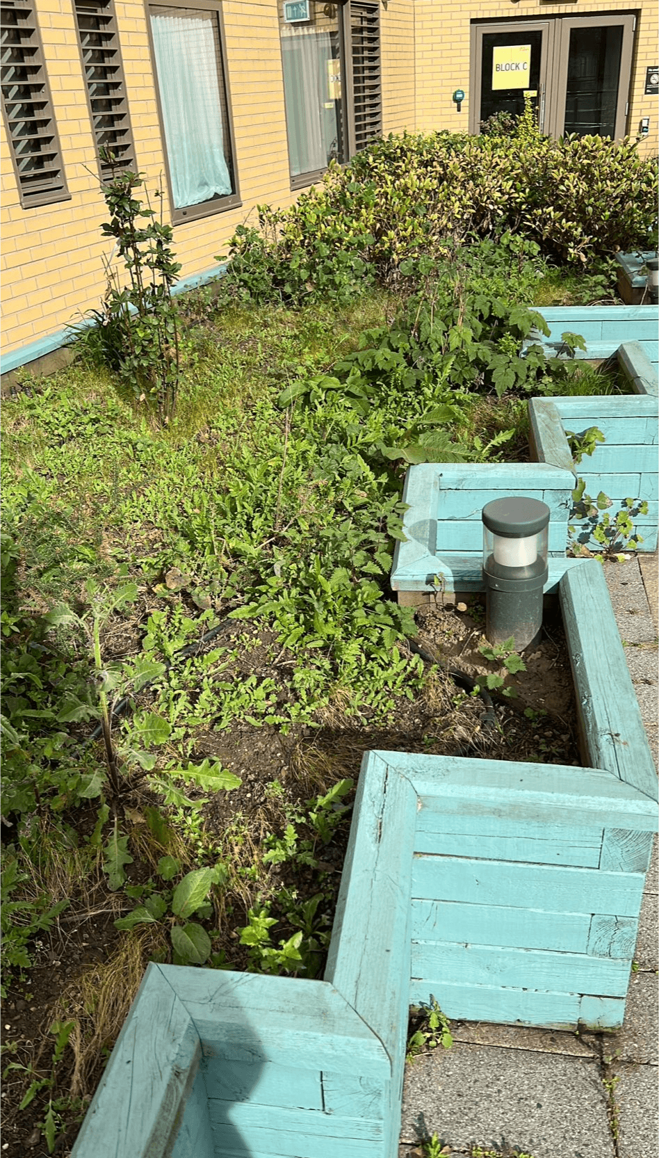 Commercial planting services in South East Surrey