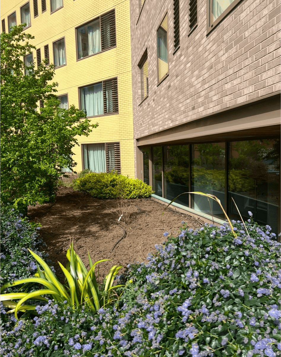 Commercial planting services in South East Surrey